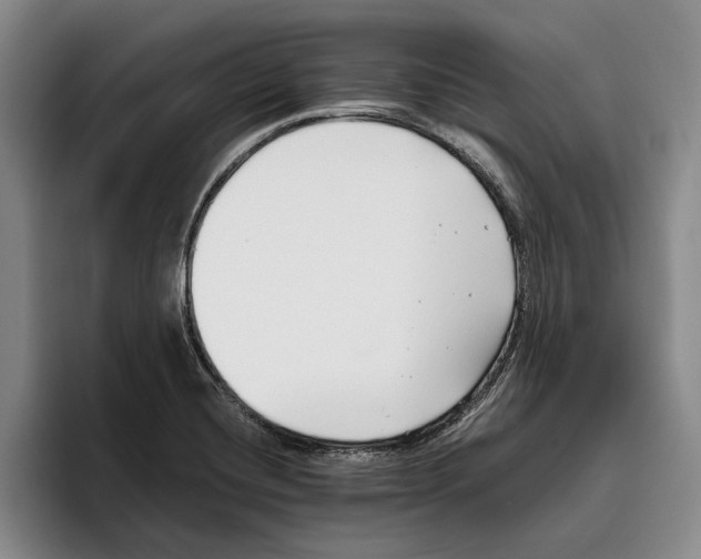 X0000096141420200802151325