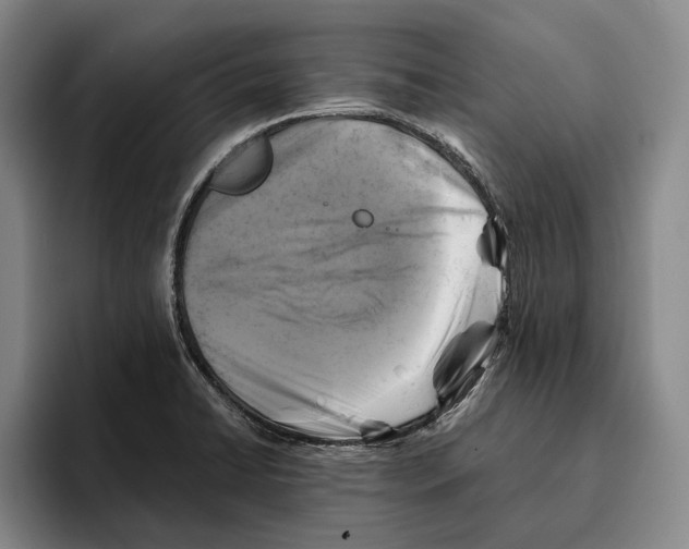 X0000096141422200802151325
