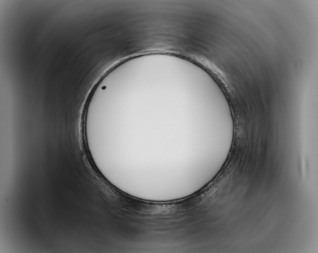 X0000096141423200802151325