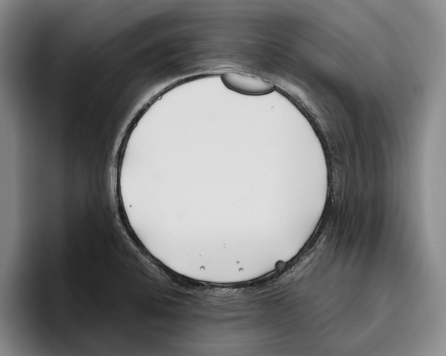 X0000096141424200802151325