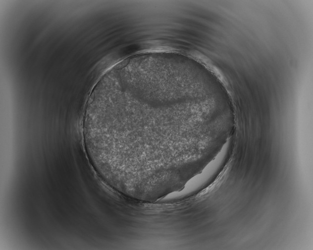 X0000096141425200802151325