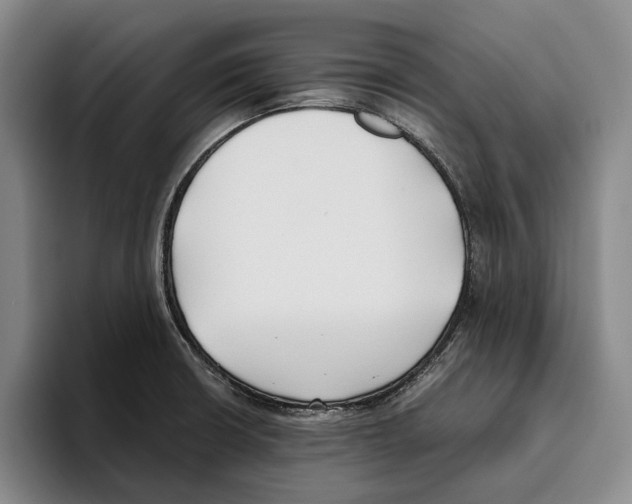 X0000096141426200802151325