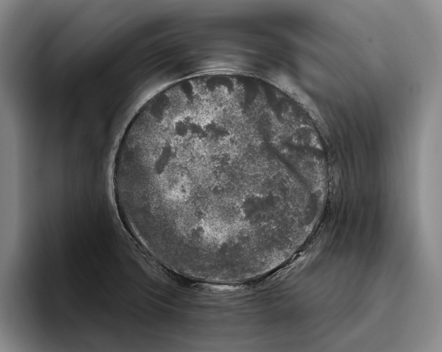 X0000096141427200802151325