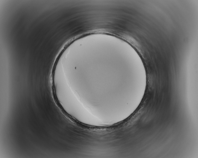 X0000096141428200802151325