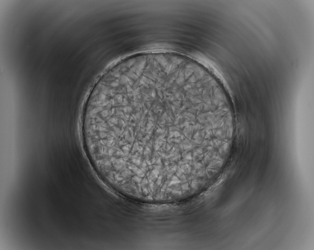 X0000096141429200802151325