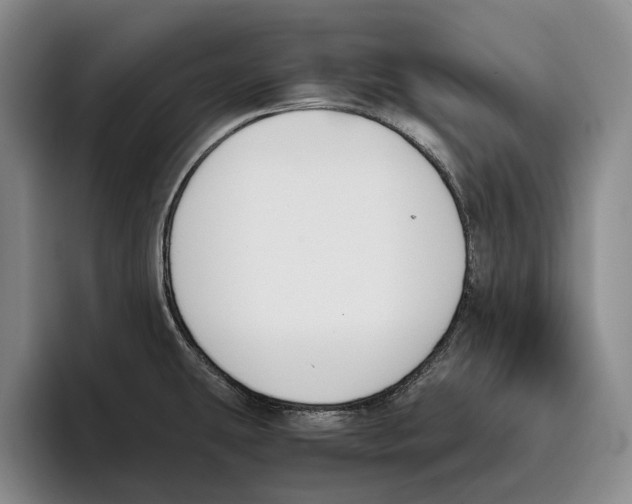 X0000096141431200802151325