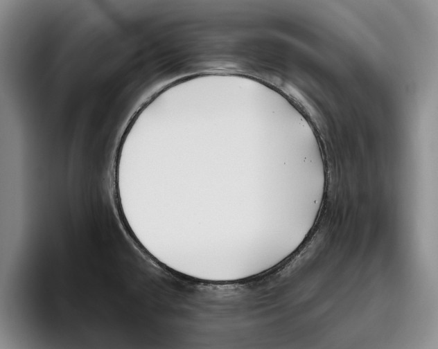 X0000096141432200802151325