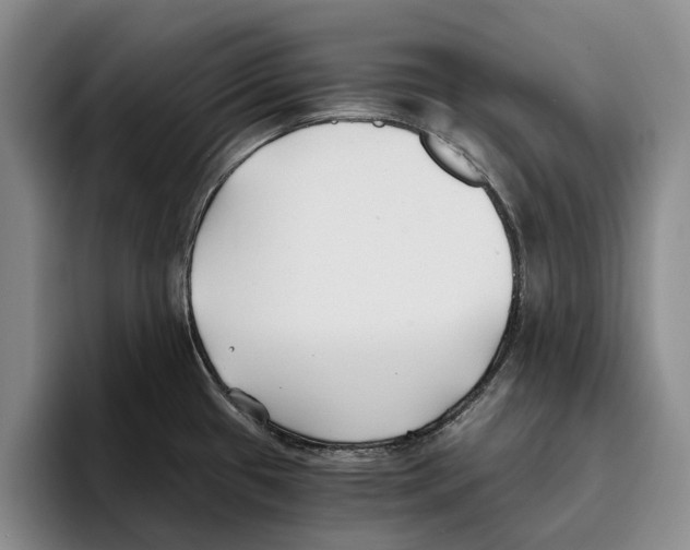 X0000096141433200802151325