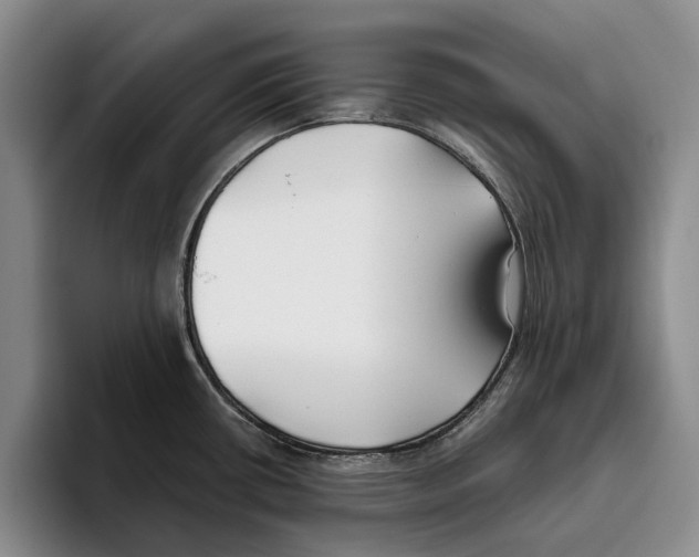 X0000096141434200802151325
