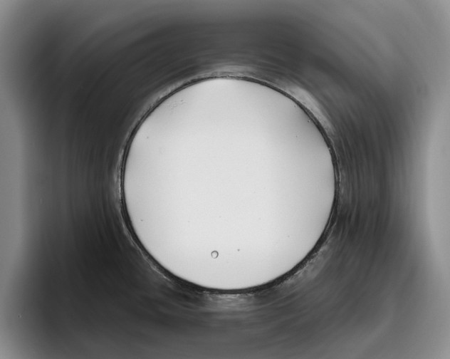 X0000096141436200802151325