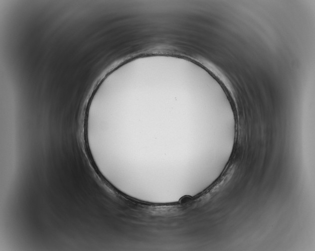 X0000096141437200802151325