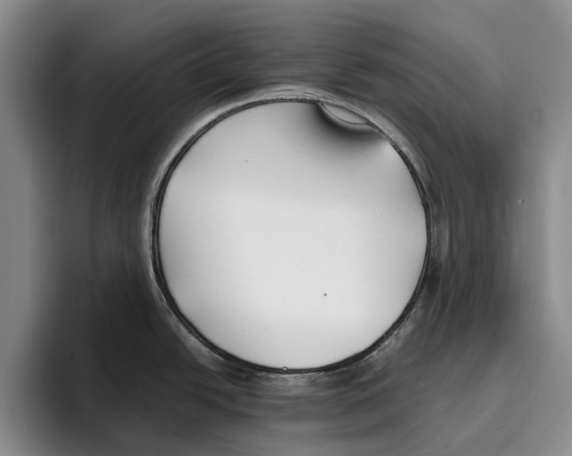 X0000096141438200802151325