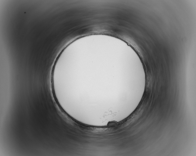 X0000096141439200802151325