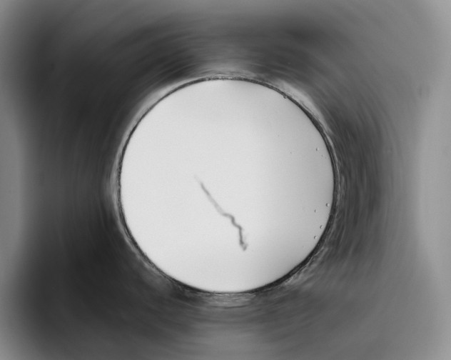 X0000096141440200802151325
