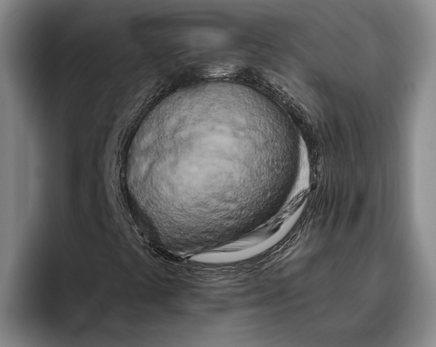 X0000096141441200802151324