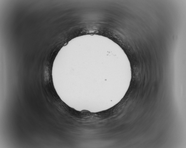 X0000096141442200802151324