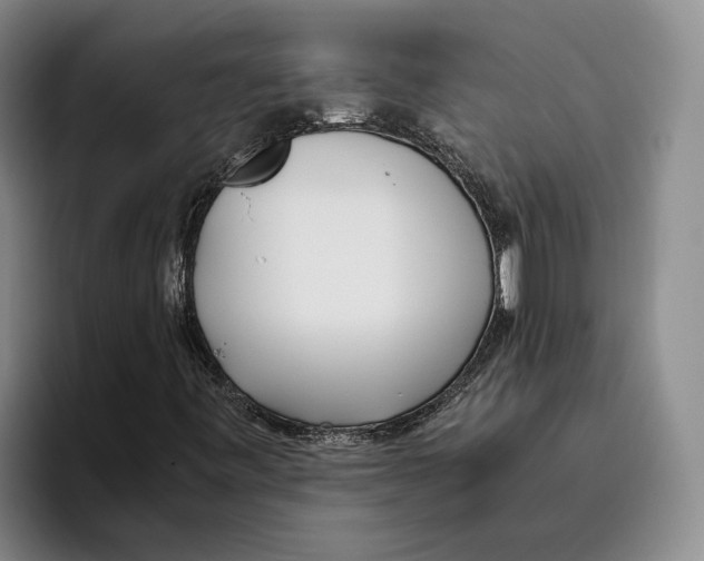 X0000096141443200802151324