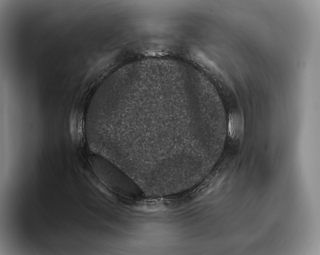 X0000096141444200802151324