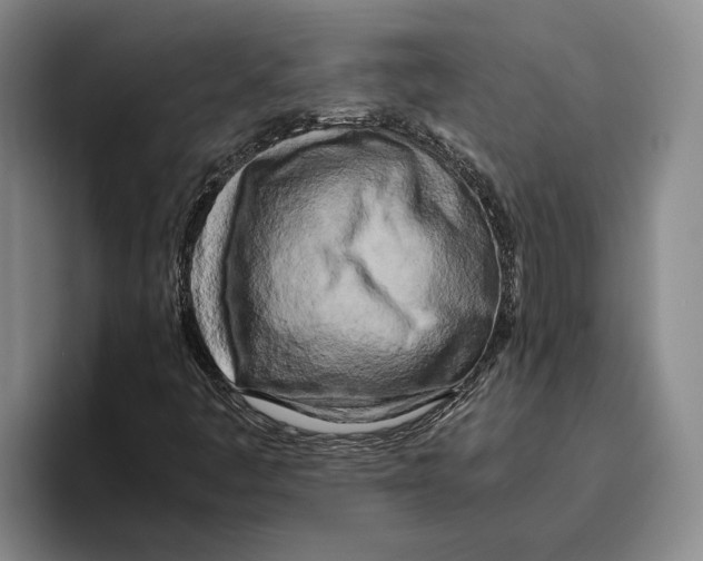 X0000096141445200802151324