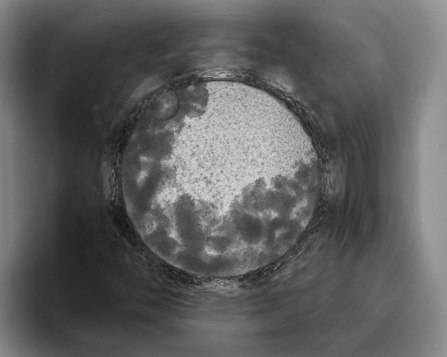 X0000096141446200802151324