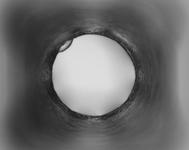 X0000096141447200802151324