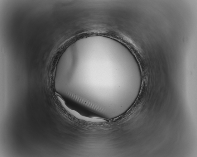 X0000096141448200802151324