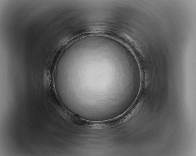 X0000096141449200802151324