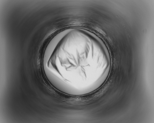 X0000096141450200802151324