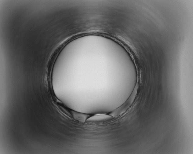 X0000096141452200802151324
