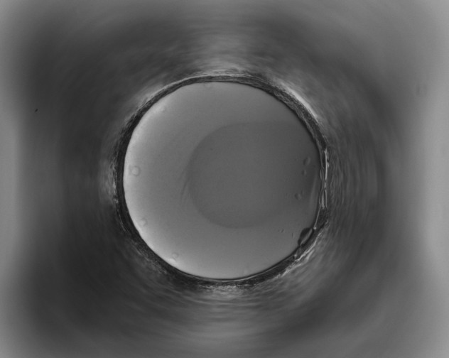 X0000096141455200802151324