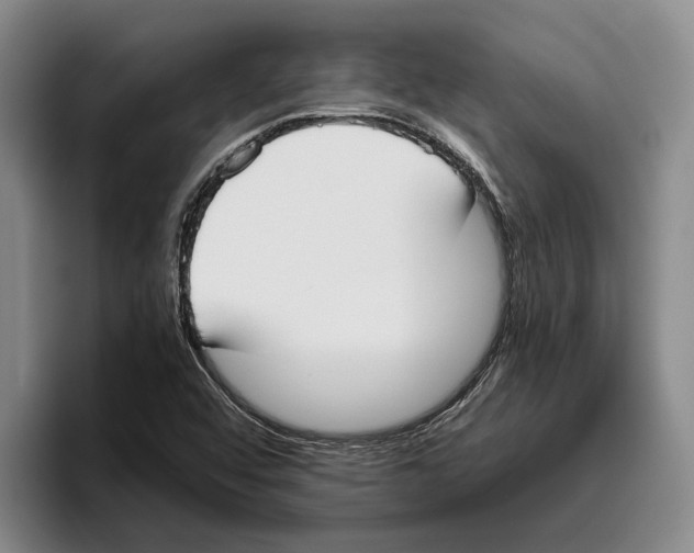 X0000096141456200802151324