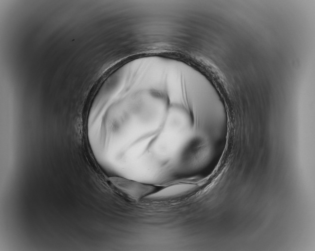 X0000096141457200802151324