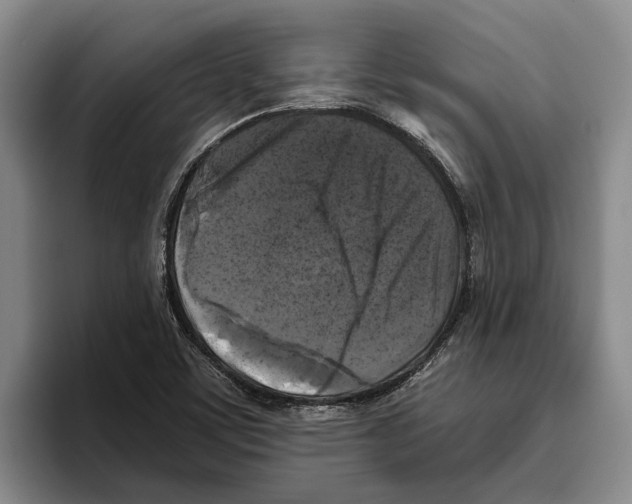 X0000096141459200802151324