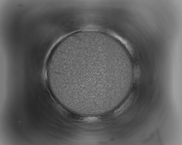 X0000096141462200802151324