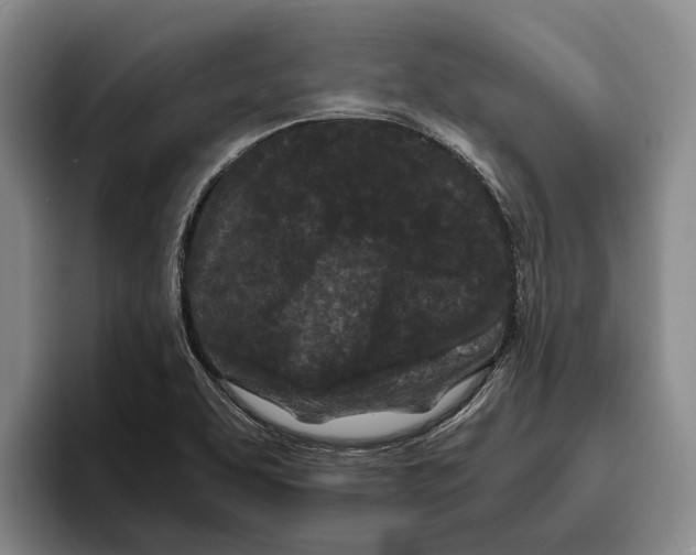 X0000096141463200802151324