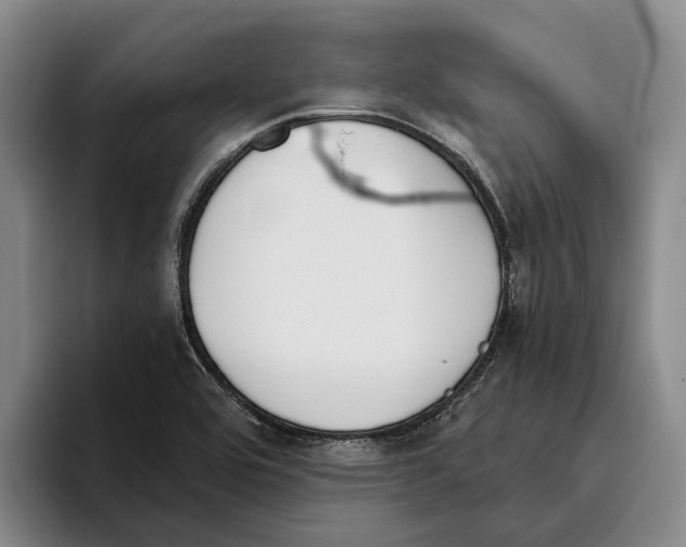 X0000096141464200802151324