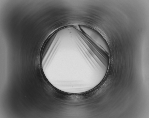 X0000096141465200802151324