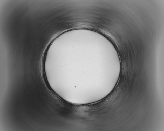 X0000096141467200802151324