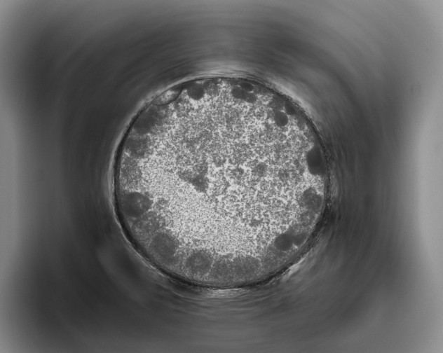 X0000096141471200802151324