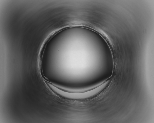 X0000096141472200802151324