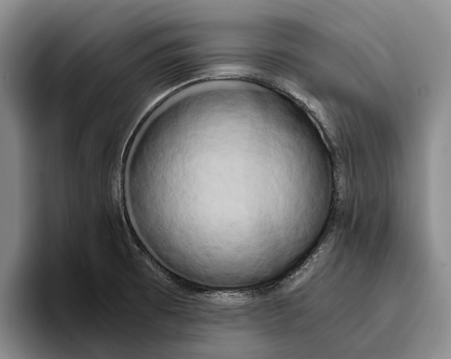X0000096141473200802151324