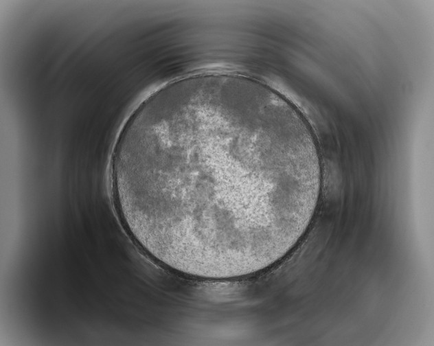 X0000096141474200802151324