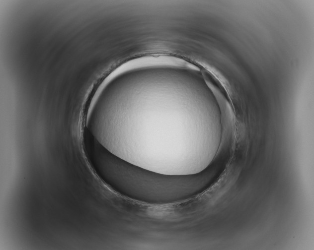 X0000096141477200802151324