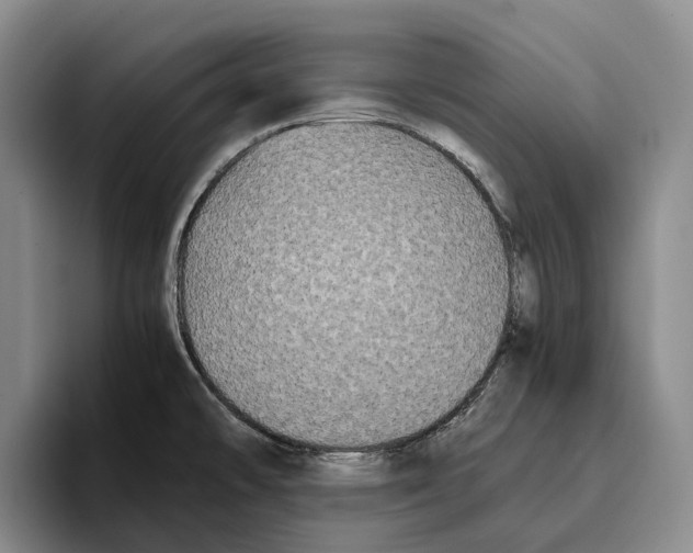 X0000096141478200802151324