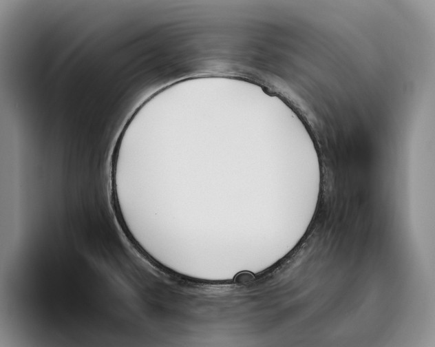 X0000096141479200802151324