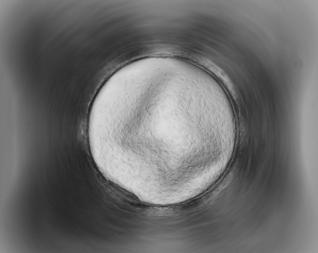 X0000096141481200802151324