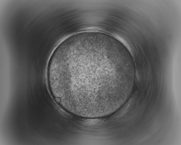 X0000096141482200802151324