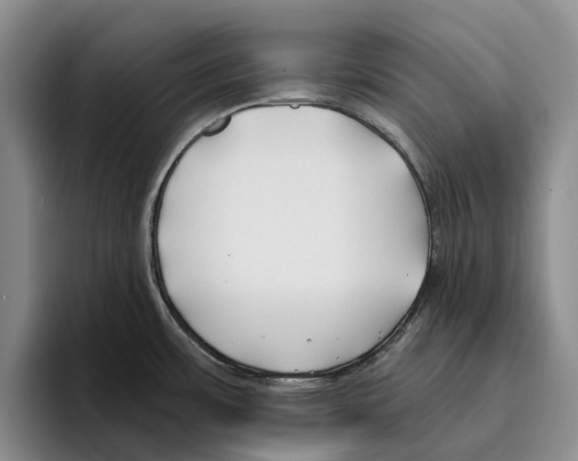 X0000096141483200802151324