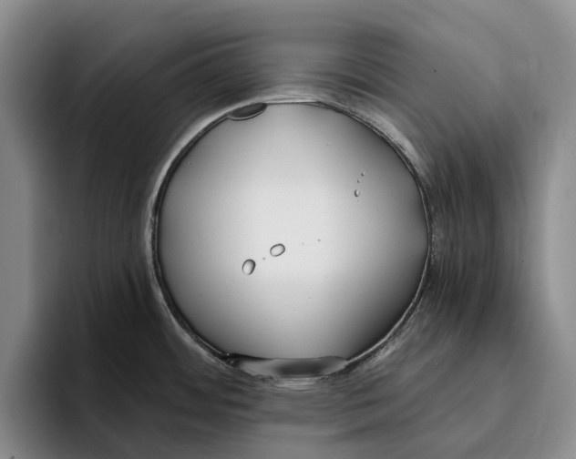 X0000096141484200802151324