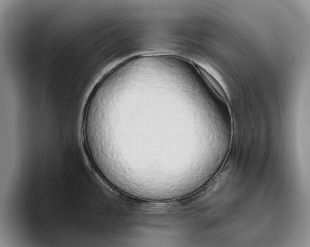 X0000096141485200802151324